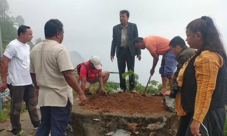 planting.jpg